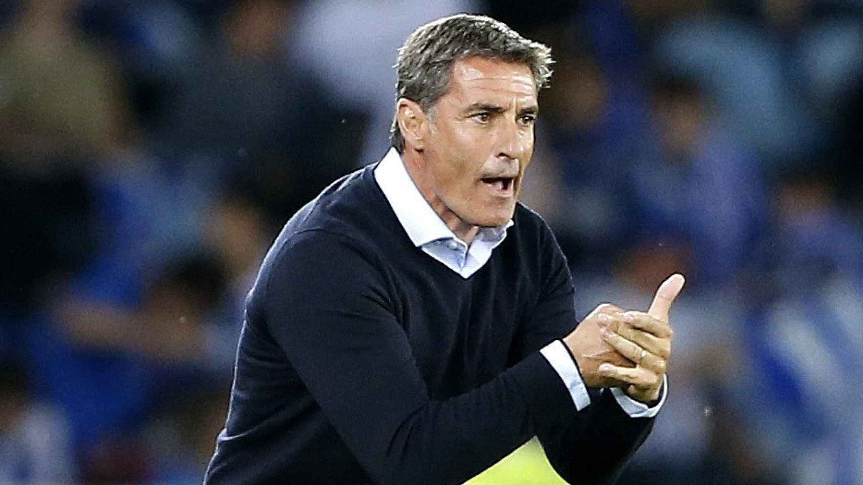 Míchel, entrenador del Málaga, en un partido de esta temporada.