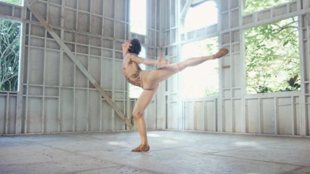 Image: Sergei Polunin: sublime tormento