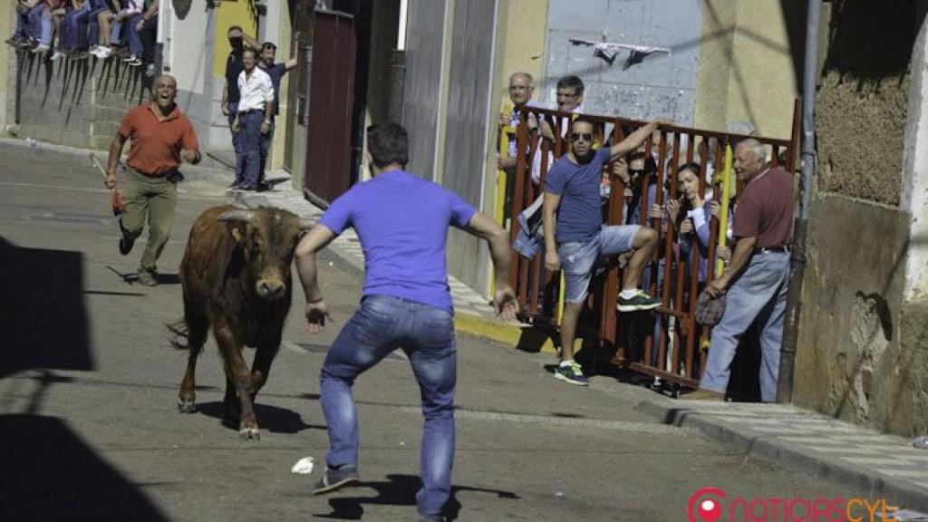 encierro-martes-2016-tamames-salamanca-1