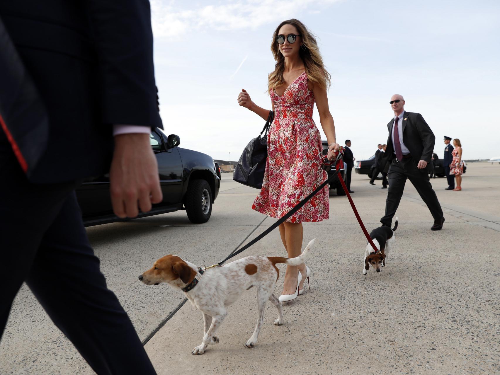 los perros chicos se llevan mejor con las chicas