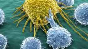 La inmunoterapia despierta a las defensas contra el cáncer.