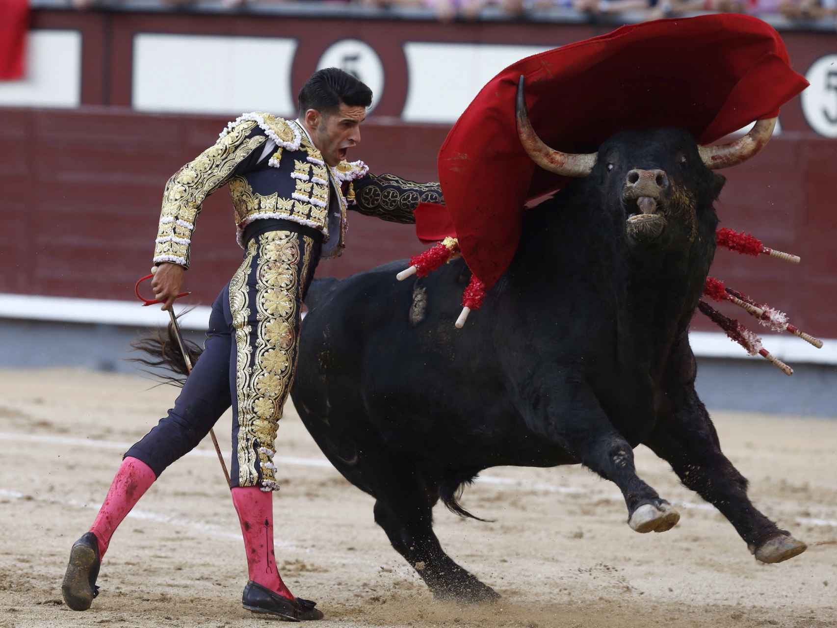 Pase de pecho de Talavante a 'Nenito', el encastado toro de Cuvillo.