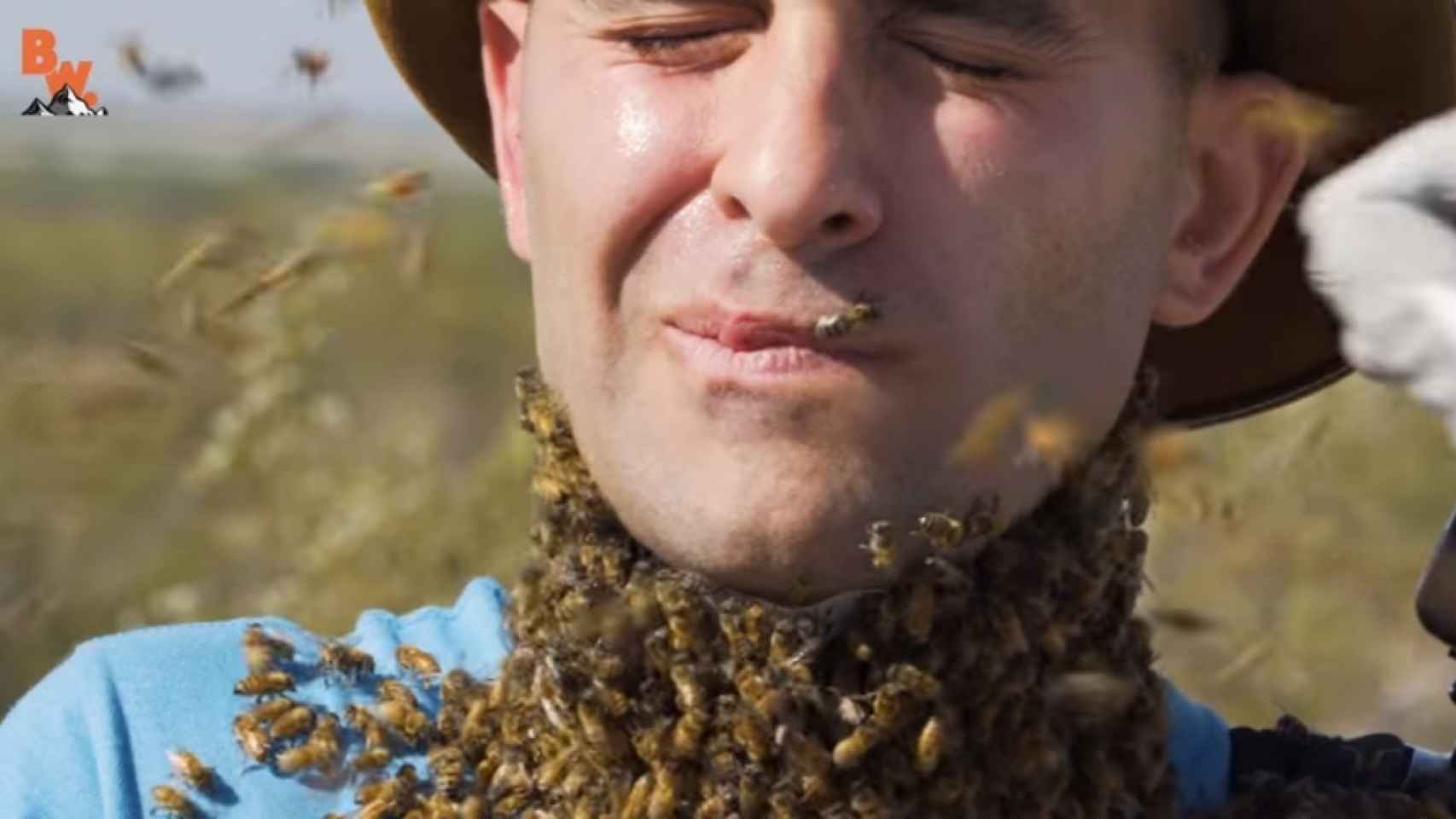 Esto es lo que ocurre cuando te atacan 3.000 abejas en la cara
