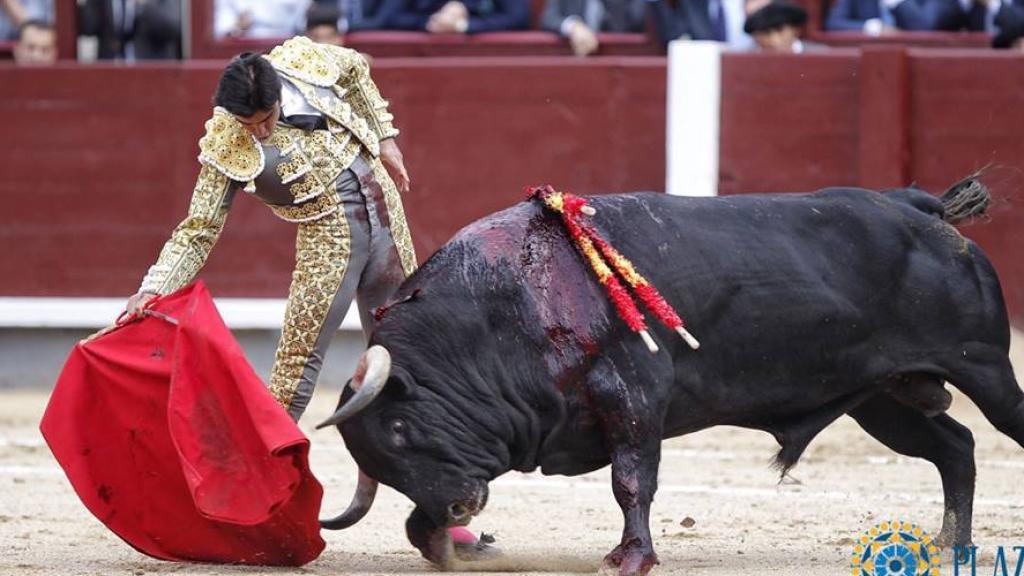 Templado derechazo de Perera