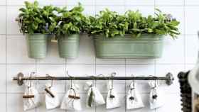 decorar-la-cocina-con-plantas-9