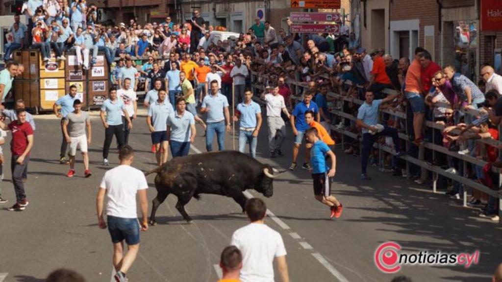 Toro-de-la-Feria-Medina-del-Campo-2017-(44)