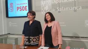 psoe-dipu-carmen-avila-(3)