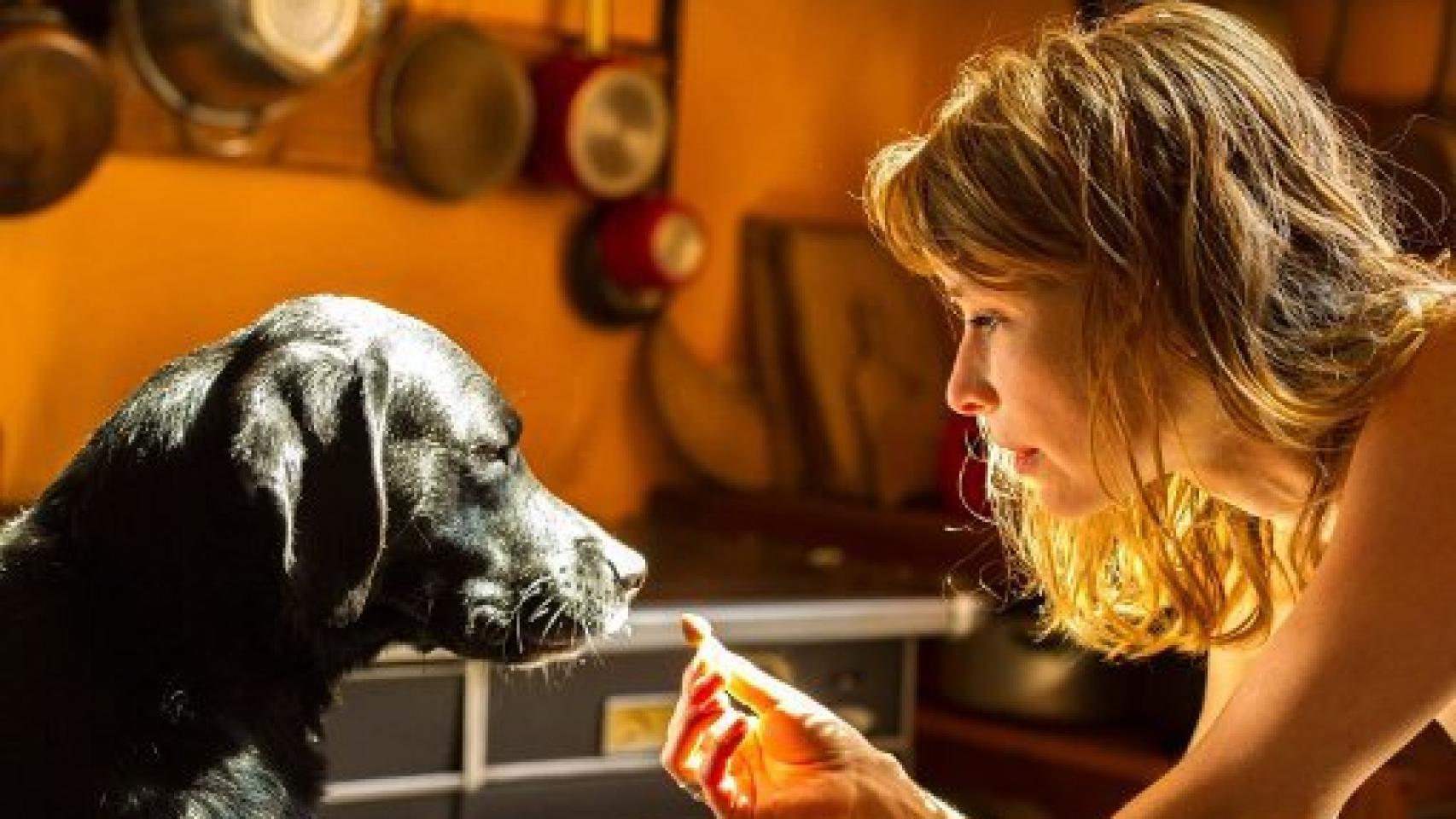 Image: Mujeres, ciberpunk y cine interactivo en el Festival de Cine Alemán