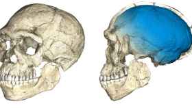 Reconstrucción de los fósiles de Homo Sapiens más antiguos.