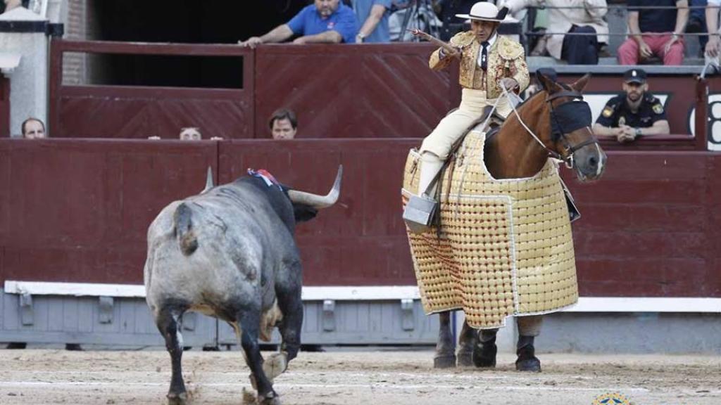 Liebre acude al caballo
