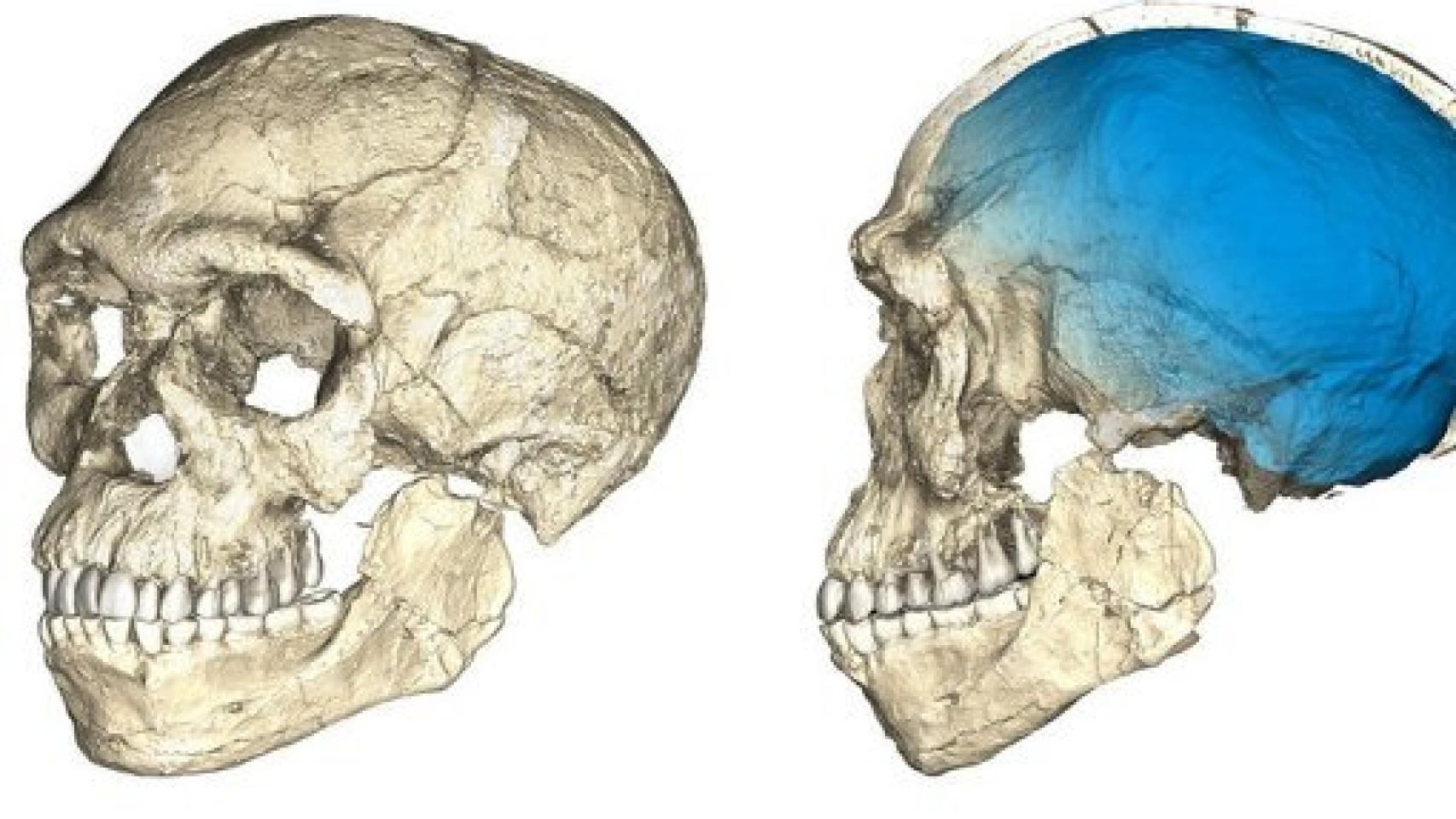 Image: Los huesos más antiguos de nuestra especie están en Marruecos
