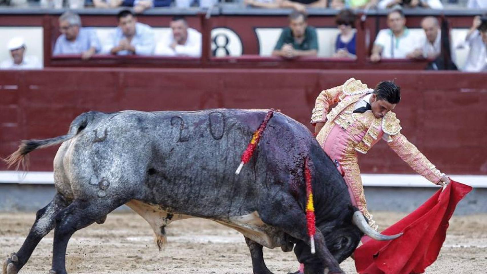 Natural de Alberto Aguilar a 'Liebre'