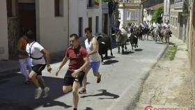 Encierro a caballo san juan 2016 hinojosa (2)