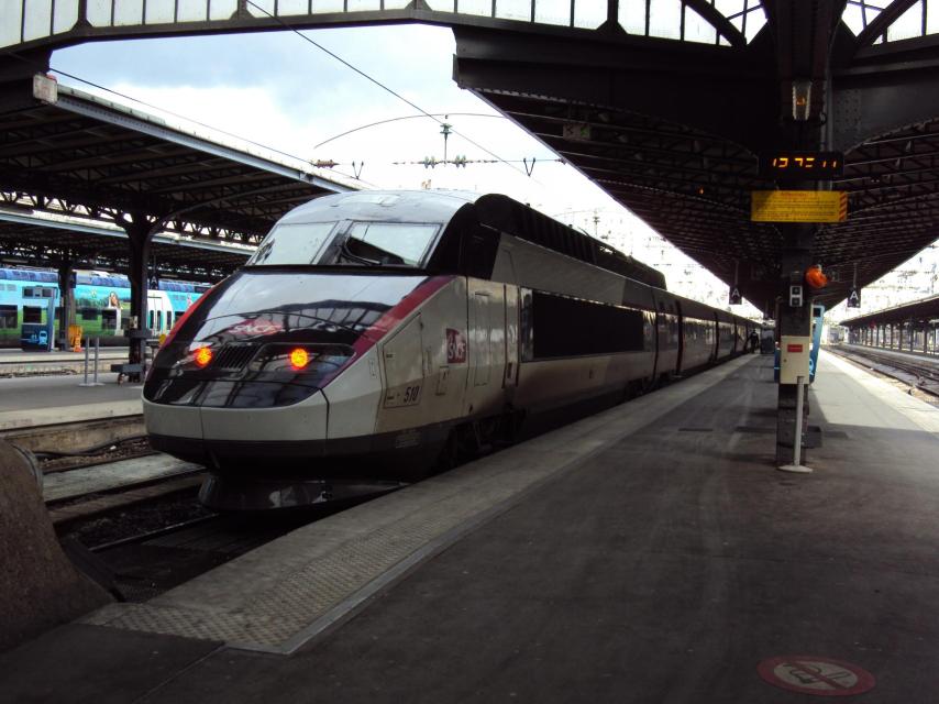 Un tren de alta velocidad francés arrolló a ambos.