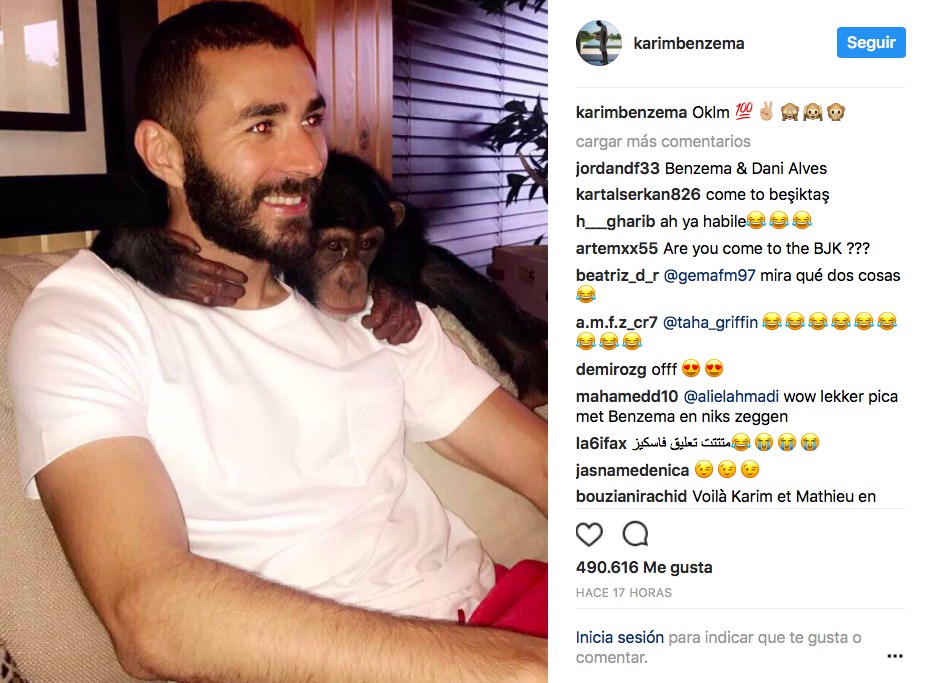 Benzema se encuentra con un nuevo y peludo compañero de viaje en sus vacaciones