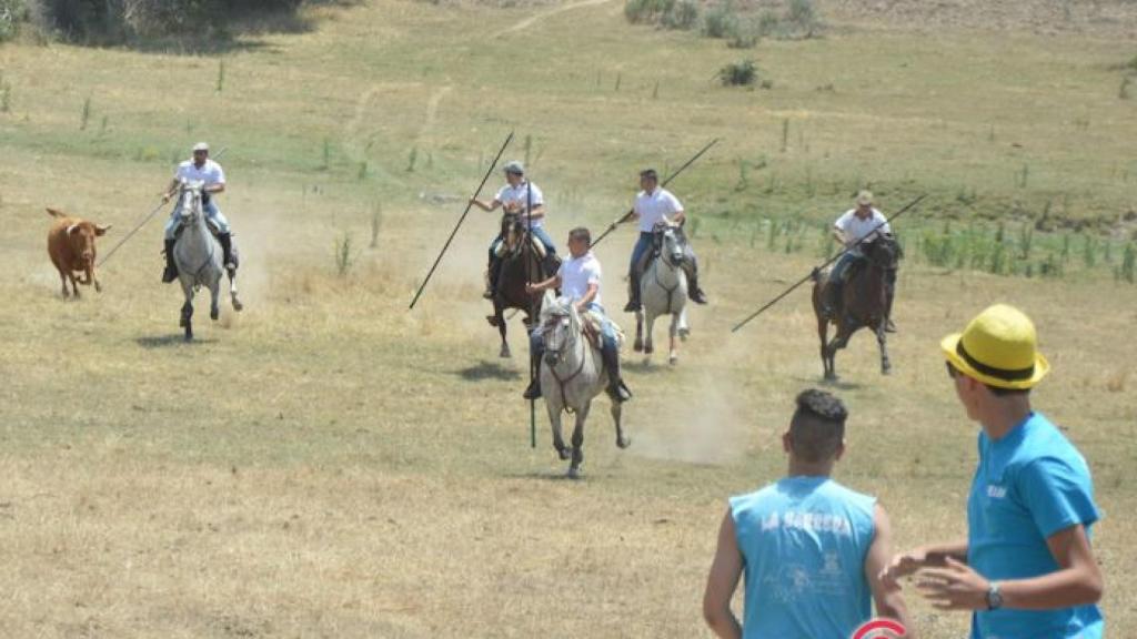 fiesta campera 2017 hinojosa (15)