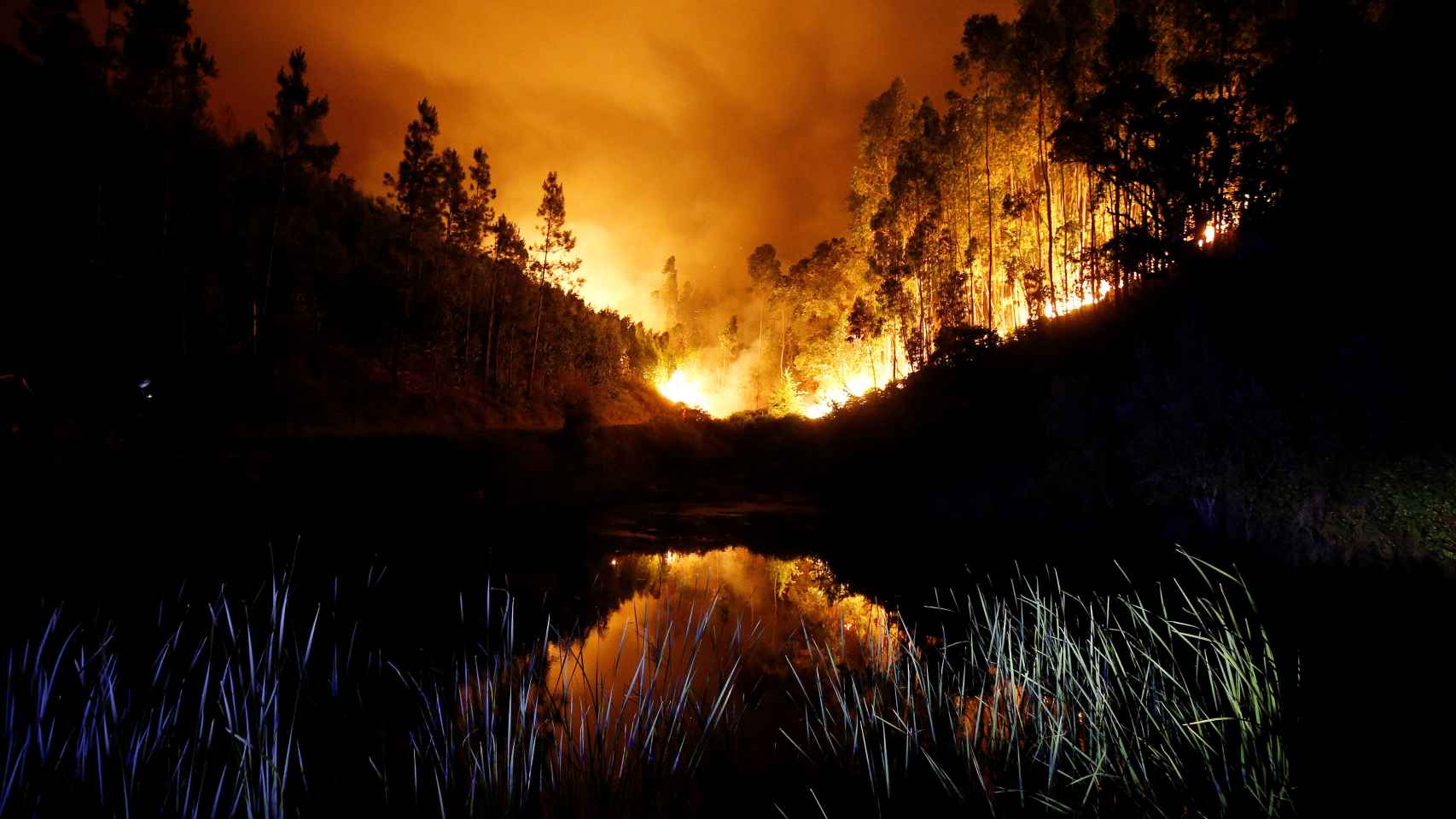 El fuego destroza la masa forestal.