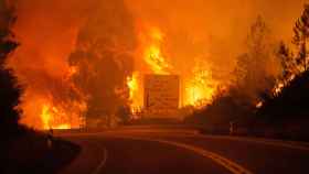 El incendio ha afectado la zona de Pedrógão Grande.