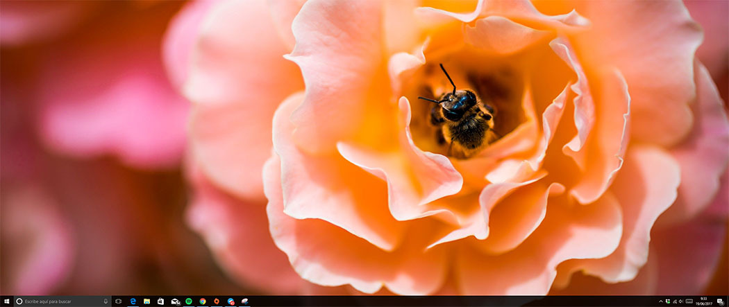 windows-10-escritorio-pantalla-ultrawide-wallpaper-fondo de pantalla