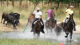 encierro lunes sancti (2)