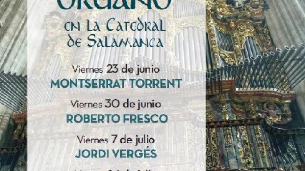concierto organo catedral