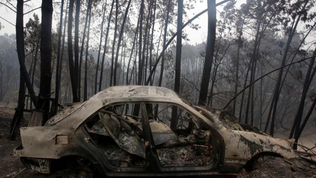 Imagen de uno de los vehículos calcinados por el incendio