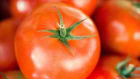 ivan-timov-conservar-tomate-fresco-durante-mas-tiempo-