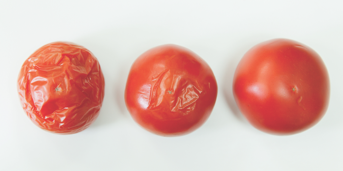 tomate-arrugado