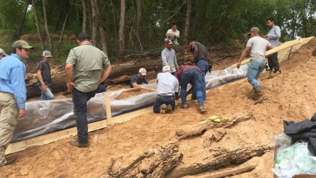 Un grupo de voluntarios, liderados por dos arqueólogos, protegen la canoa