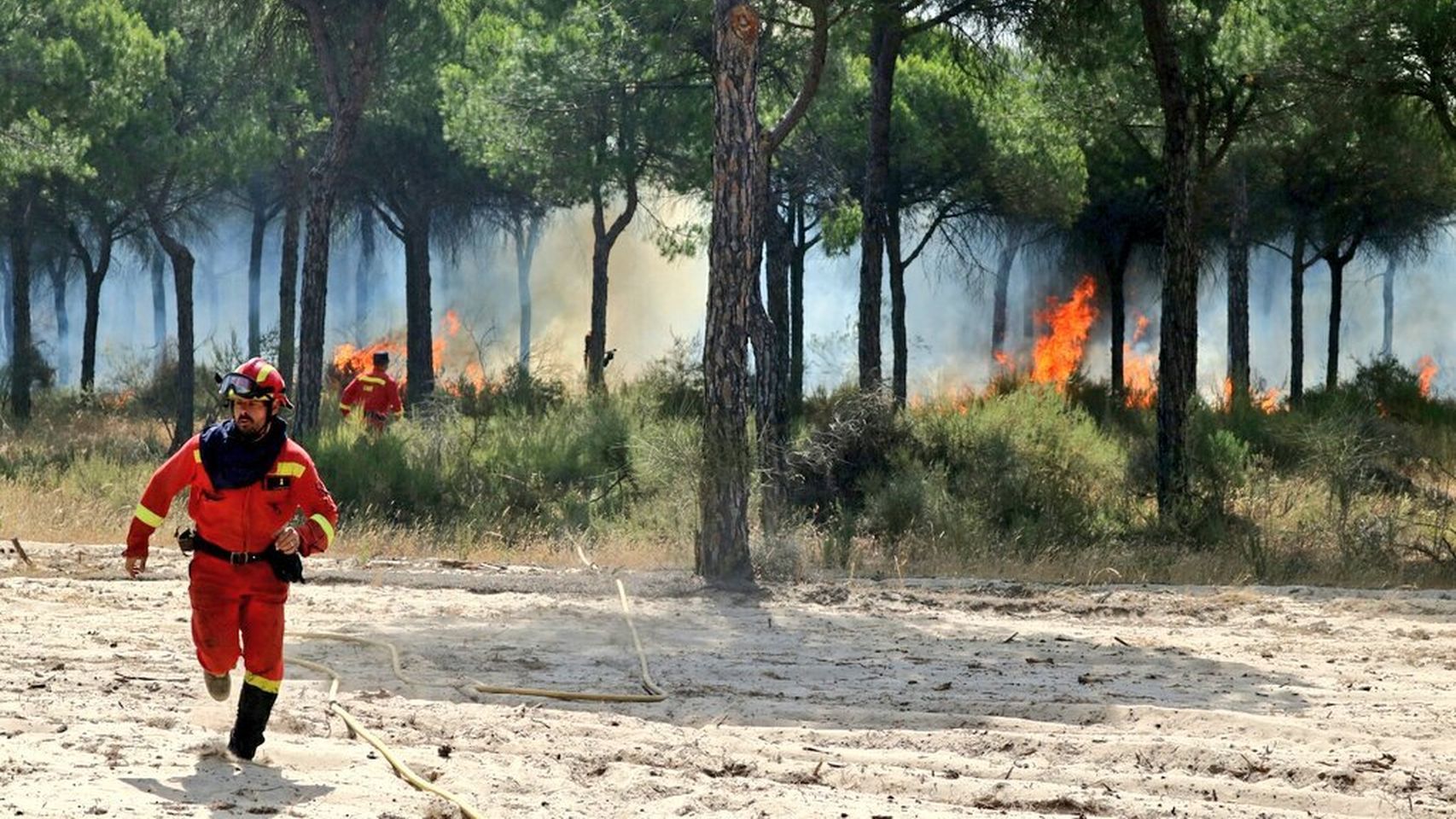 Doñana arde.