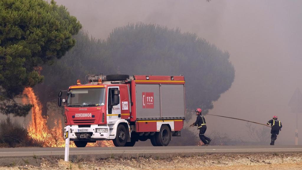 Bomberos intentan apagar un foco de fuego en la carretera que une las localidades de Mazagón y Matalascañas.