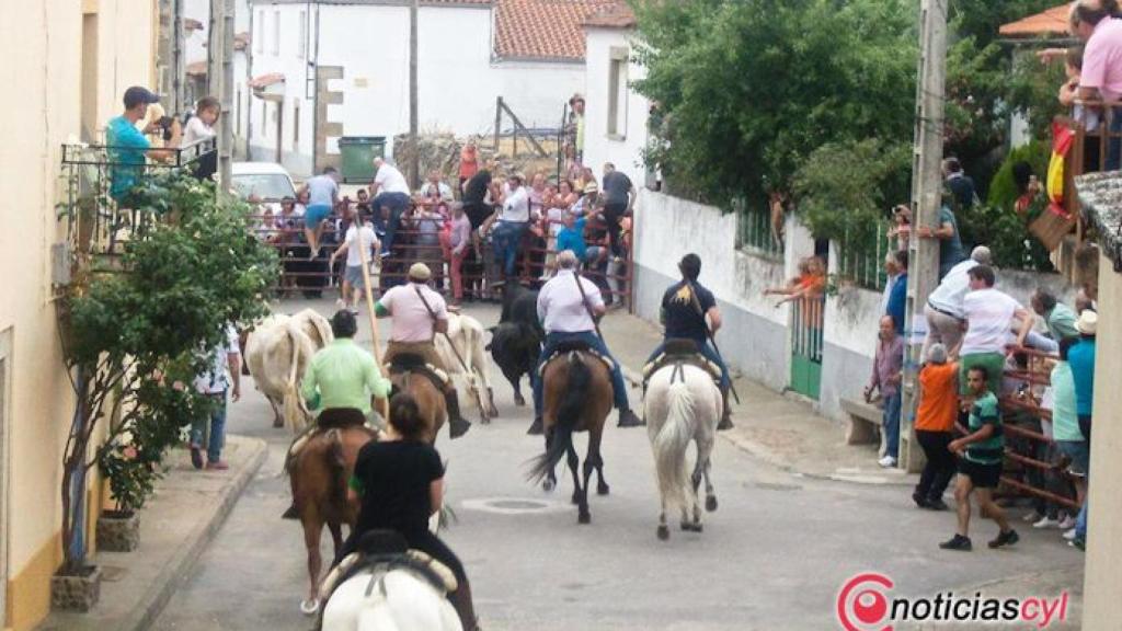 San juan 2017 bogajo (7)