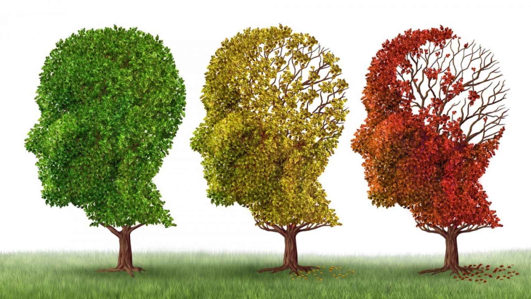 Analogía del Alzheimer con tres árboles.