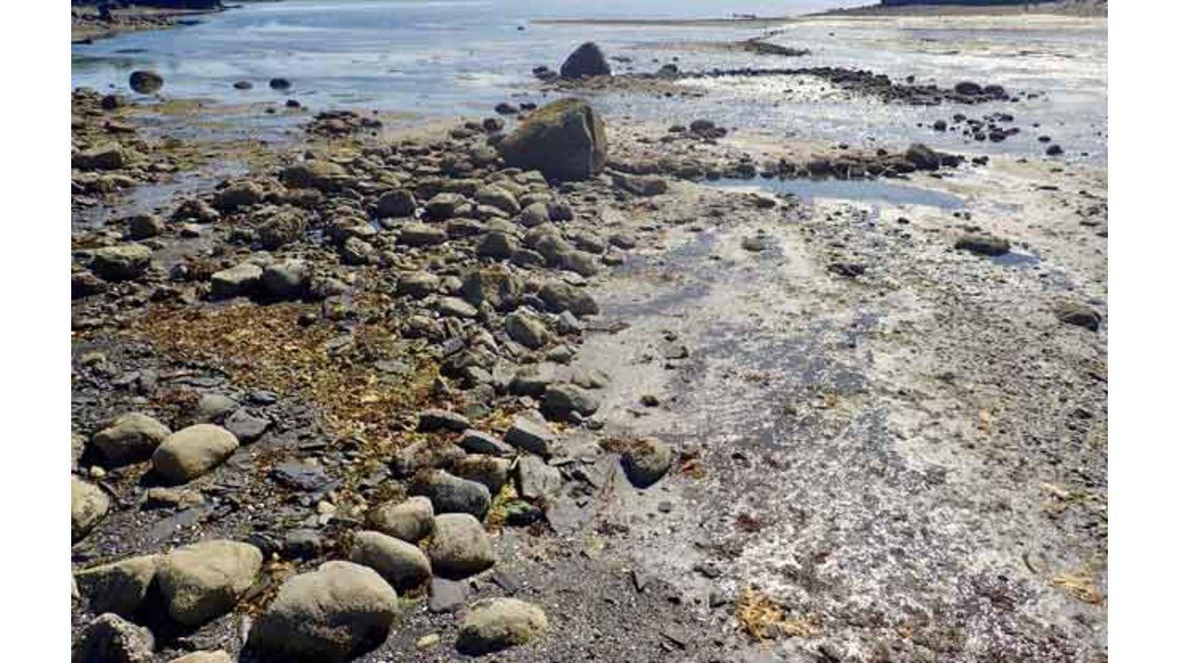 Las rocas representan los restos de una trampa intermareal para el salmón