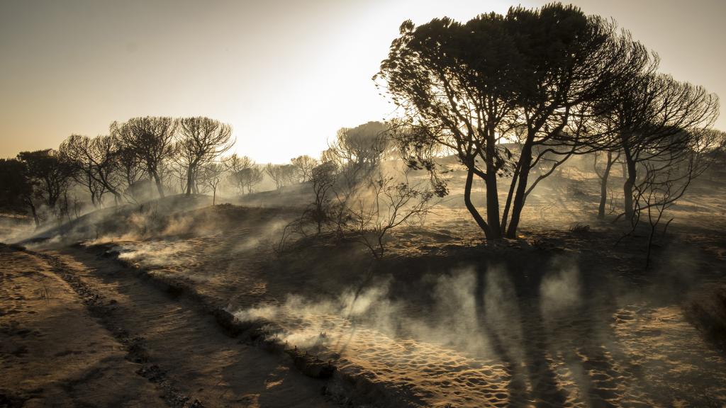 Paraje de Cuesta Maneli tras el incendio declarado el pasado sábado.