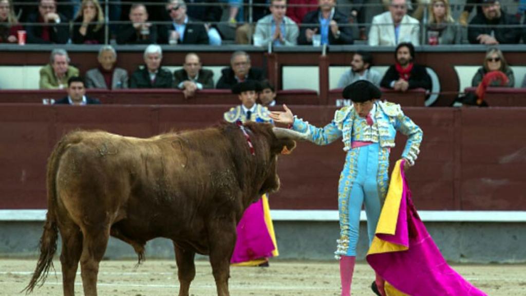 zamora torero roca rey