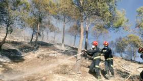 Valladolid-bomberos-cigunuela-incendio