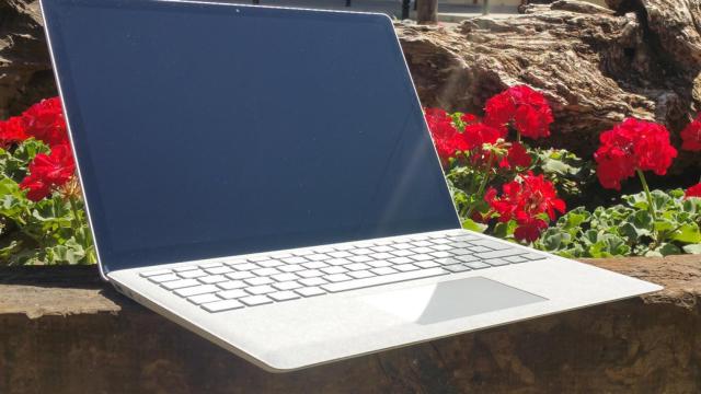 surface laptop 12