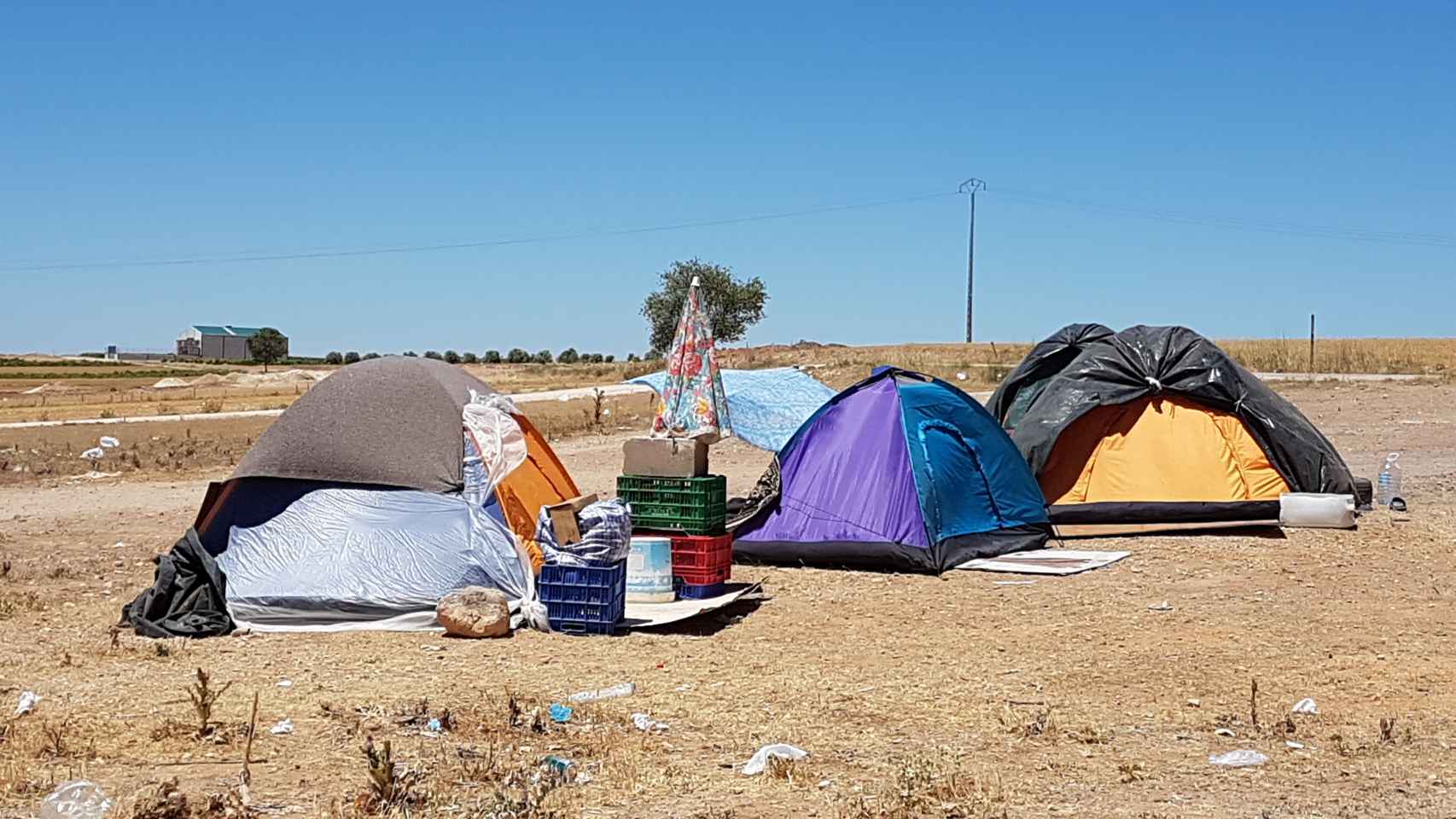 En la zona de Las Pedroñeras los temporeros han acampado en las afueras.