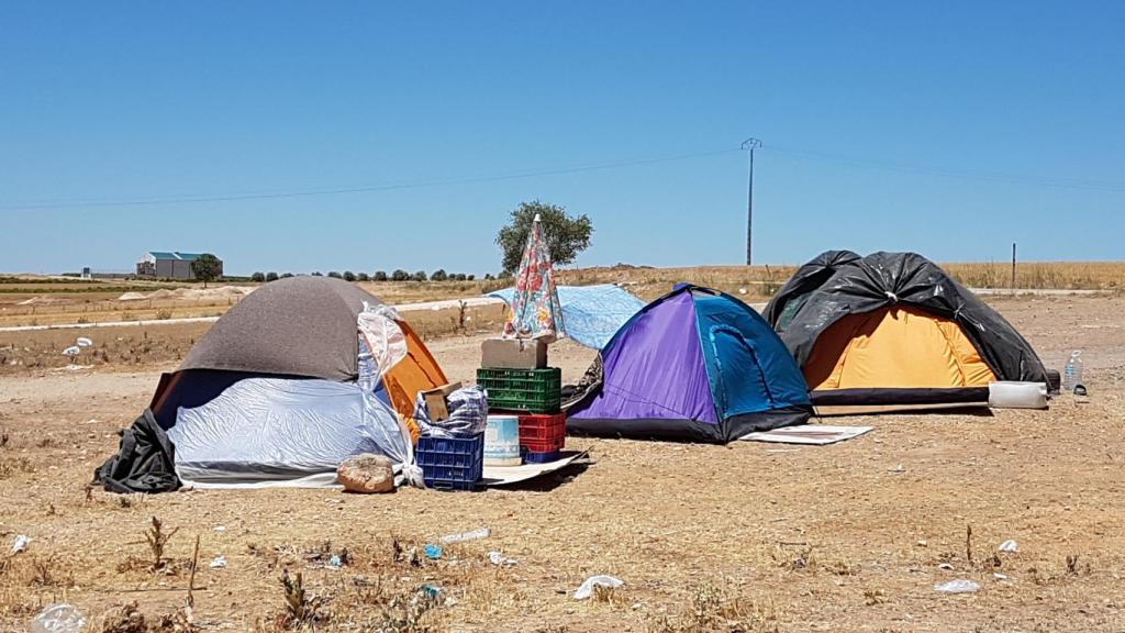 En la zona de Las Pedroñeras los temporeros han acampado en las afueras.