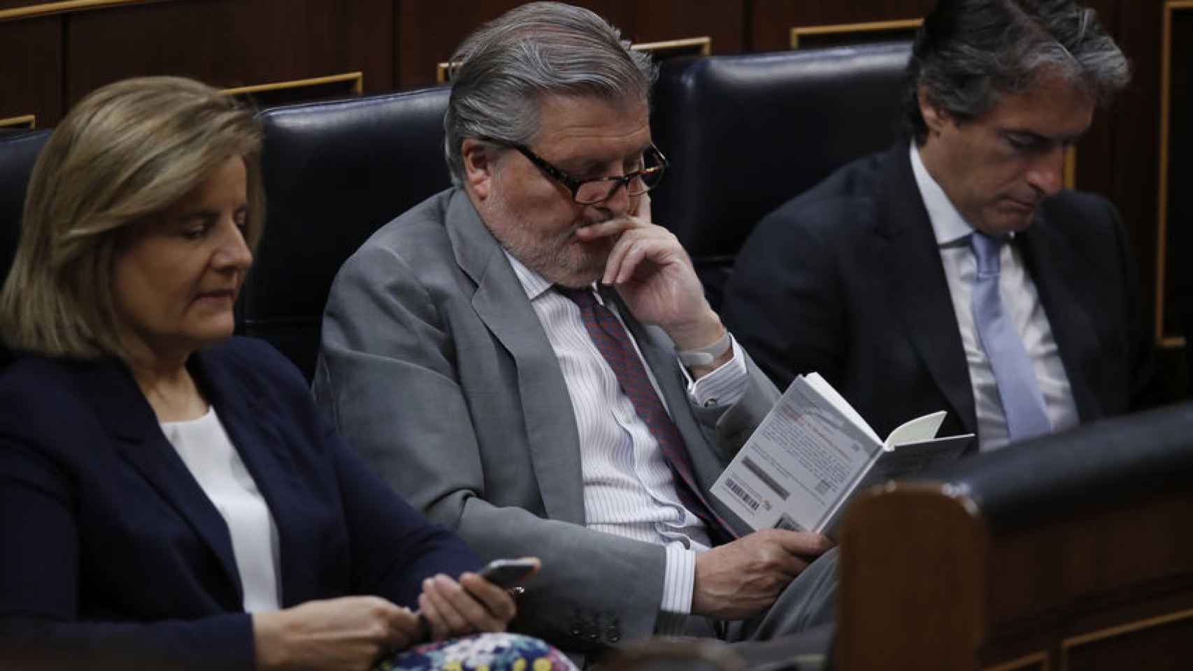 Iñigo Méndez de Vigo leyendo en el Congreso.