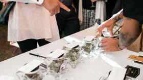 Barras de marihuana en boda