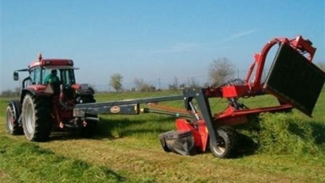 Un agricultor halla restos humanos mientras araba un bancal en Tobarra (Albacete)