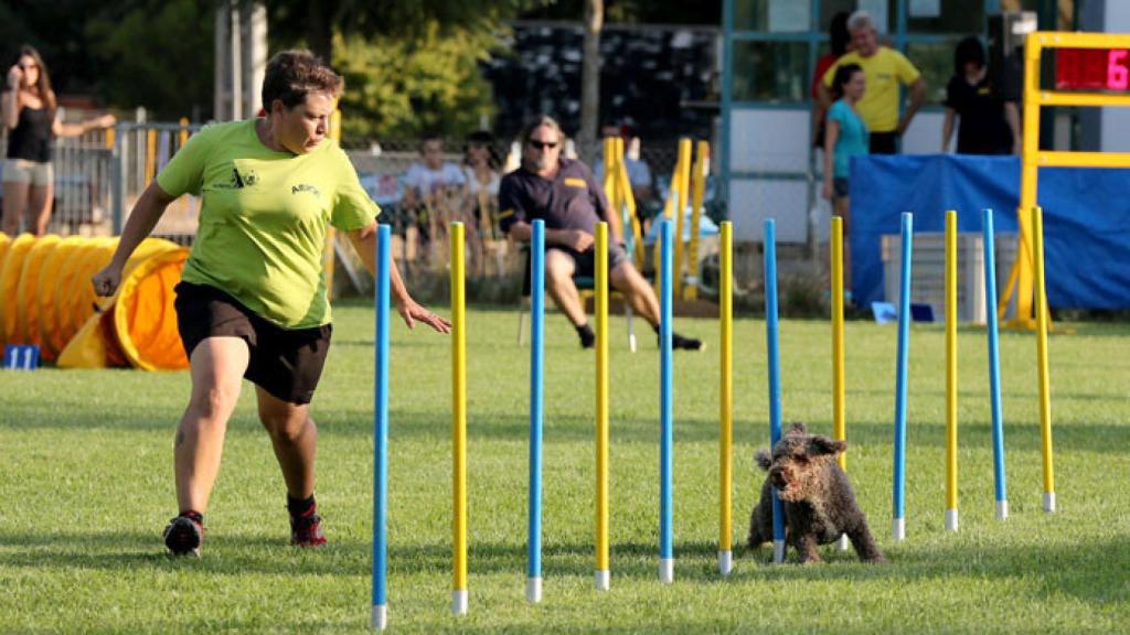 agility-11