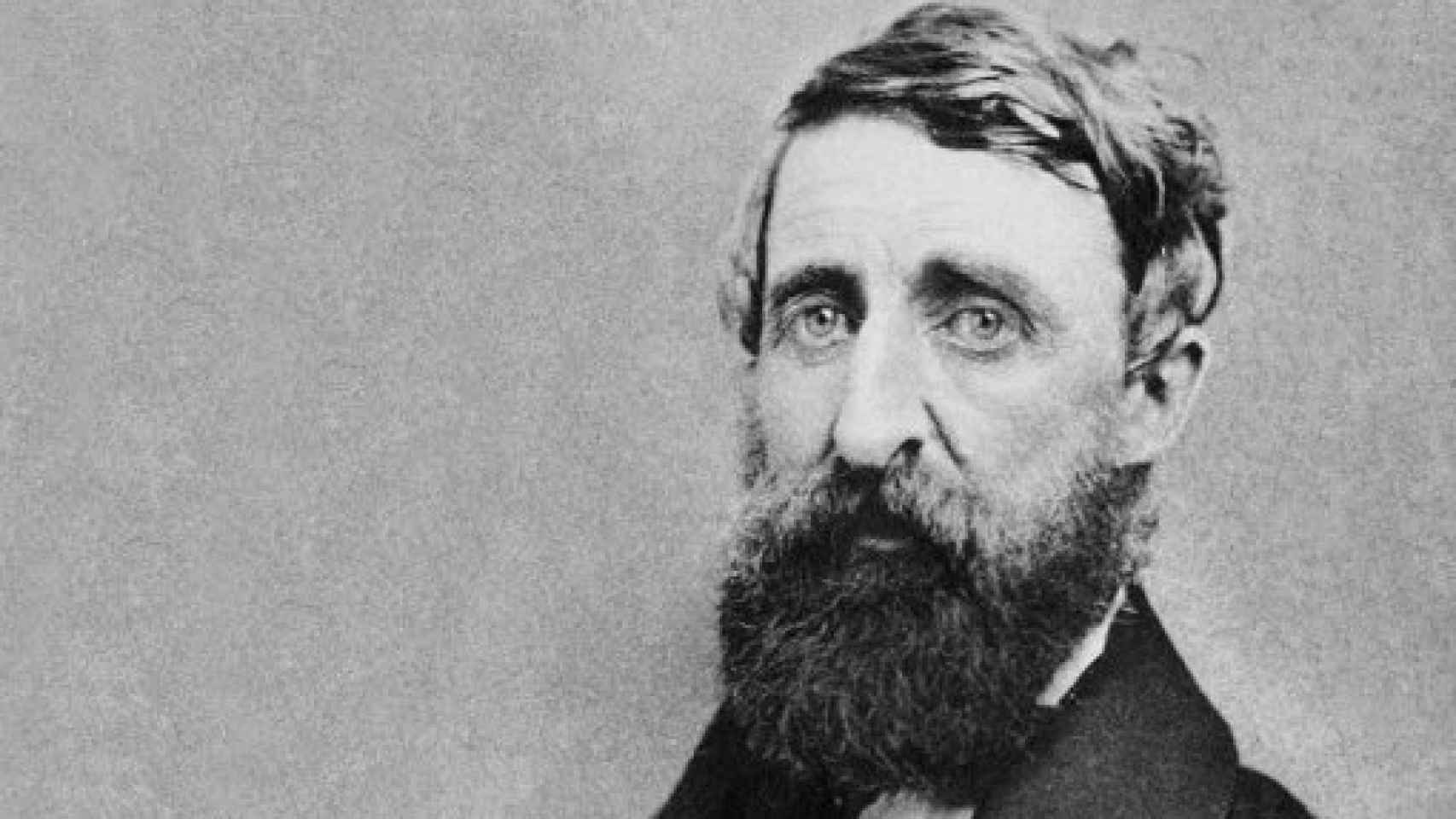 Image: La vida salvaje de Thoreau