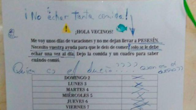 Se va de vacaciones y deja a su pez en el portal para que los vecinos lo cuiden