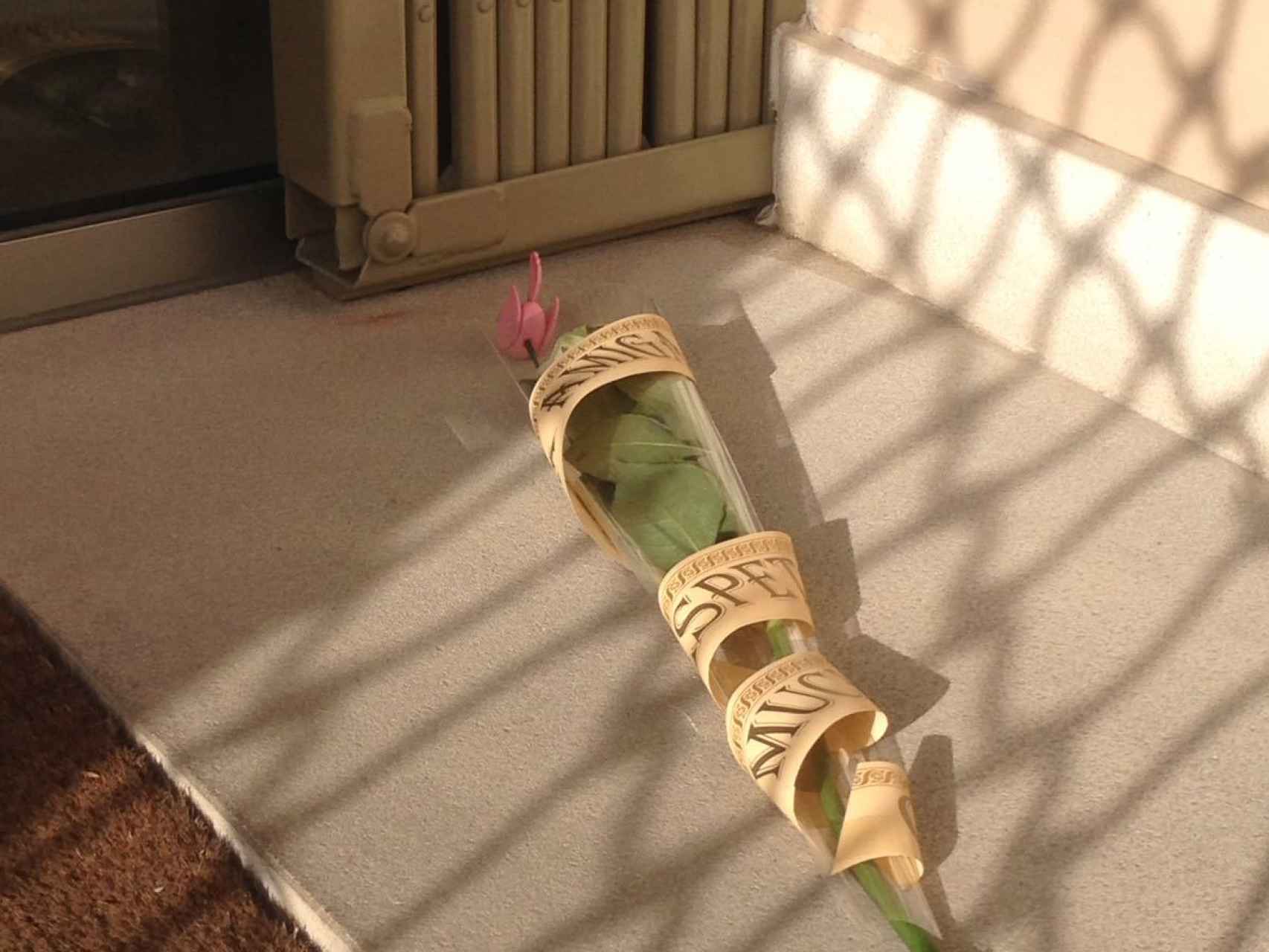 A las puertas de su farmacia, una amiga dejó estos días una flor en homenaje a Soledad.