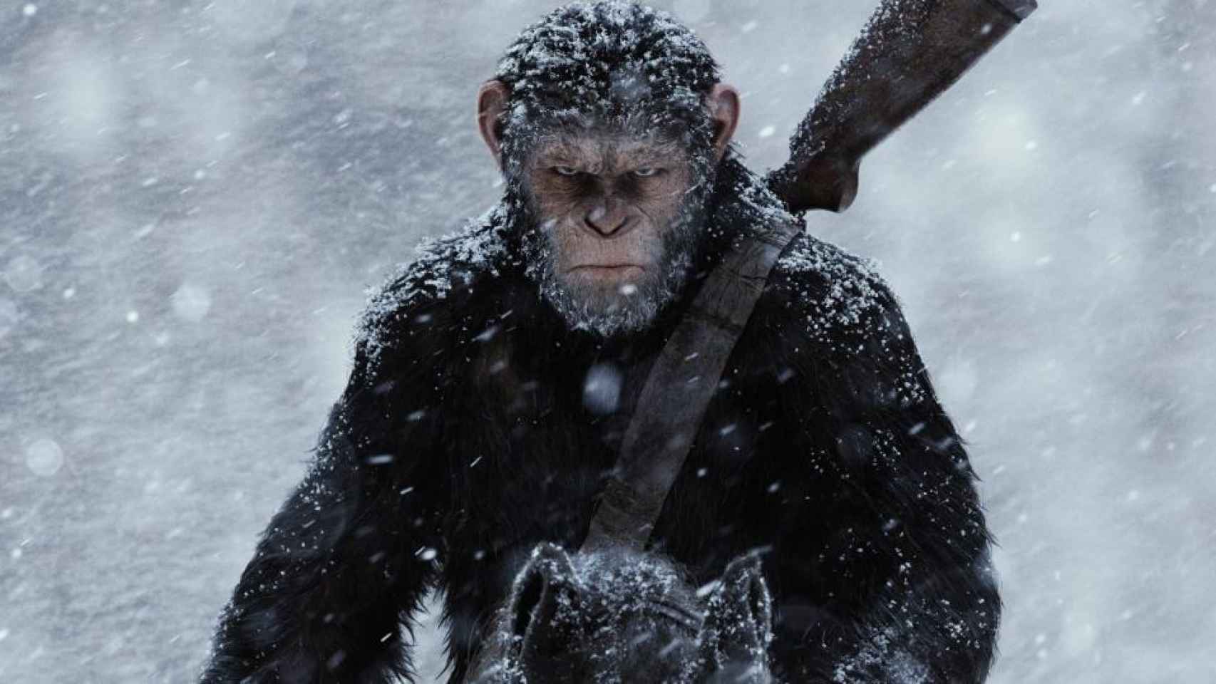 'La guerra del planeta de los simios' cierra a lo grande la trilogía.