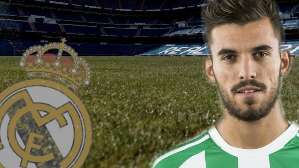 ceballos