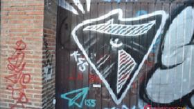 detenido-grafitero-valladolid-2